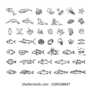 Ocean life. Underwater fauna flat line collection
