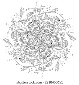Ocean Mandala Vector Graphic Design Pattern Coloring