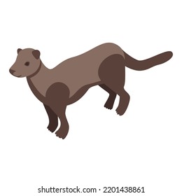 Ocean mink icon. Isometric of ocean mink vector icon for web design isolated on white background