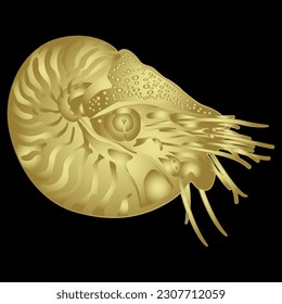 Ocean mollusk Nautilus Pompilius. Golden silhouette on black background. Isolated vector illustration.