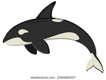 Ocean orca cartoon character. Vector illustration of killer whale isolated on white background