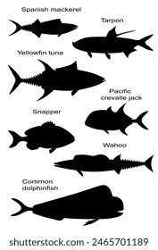 Ocean pelagic fish silhouettes with names (tuna (Yellow-fin tunny), mahi (Common dolphinfish), Pacific crevalle jack, Spanish mackerel, wahoo, tarpon, snapper). Species used in recreational and