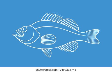 Ocean Perch outline. Isolated ocean perch on white background