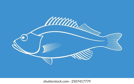 Ocean Perch outline. Isolated ocean perch on white background