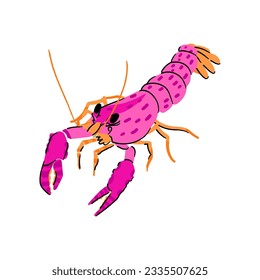 Ocean pink lobster crayfish isolated on white background. Sea tropical cute animal flat vector illustration