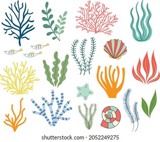 Ocean Plants, Fish, Seaweed, Jellyfish, Seashell Vector Illustration. Ocean Creatures Collection. 