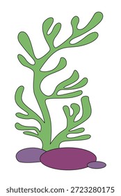 Plantas del océano aisladas en un fondo blanco