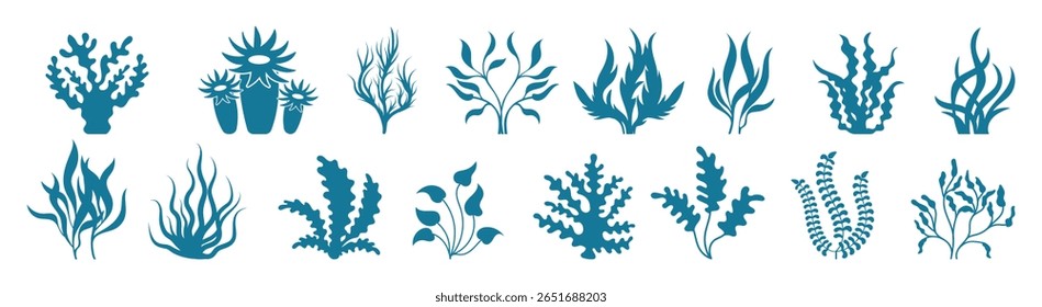 Plantas Oceânicas e Conjunto Vetorial de Folhagem Marinha. Algas marinhas subaquáticas e elementos botânicos aquáticos