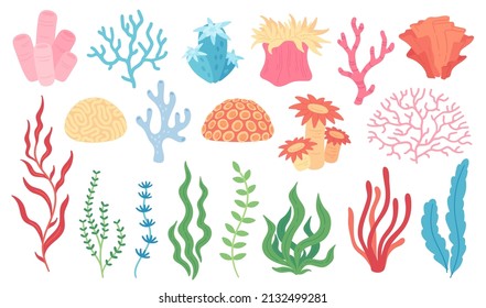 Ocean plants, underwater flora, seaweed, corals, kelp. Aquatic plant, coral, algae, kelp, tropical seabed elements vector set