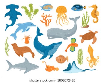 Ocean and sea animals and fish, set of isolated vector illustrations. Marine sea underwater creatures and mammals, whale, shark, dolphin and jellyfish, turtle , seahorse. Aquarium sea animals.