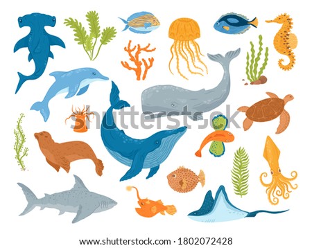 Ocean and sea animals and fish, set of isolated vector illustrations. Marine sea underwater creatures and mammals, whale, shark, dolphin and jellyfish, turtle , seahorse. Aquarium sea animals.