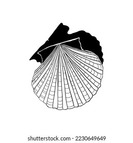 Ocean and Sea, Botanica illustration. Black ink, line, doodle style. 