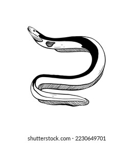 Ocean and Sea, Botanica illustration. Black ink, line, doodle style. 