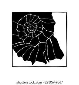 Ocean and Sea, Botanica illustration. Black ink, line, doodle style. 