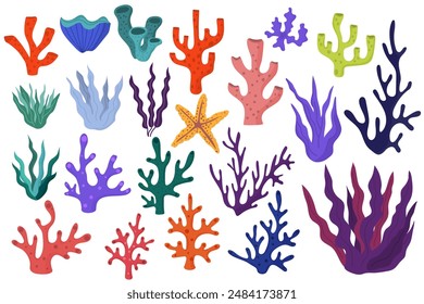 Ocean or sea coral reefs and seaweed collection isolated on white background.