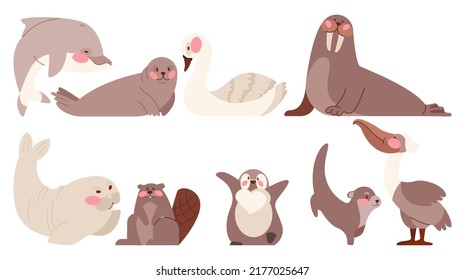 Ocean and sea cute animal set. Collection of aquatic creature, animals and birds. Dolphin, fur seal, walrus, seal, beaver, penguin, otter, pelican and swan. Vector flat illustration