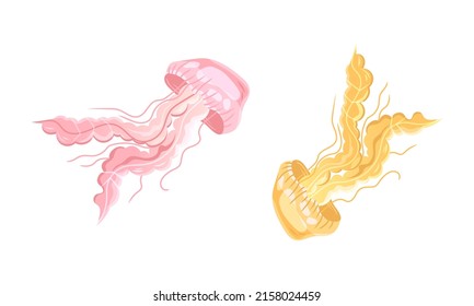 Ocean sea jellyfish set. Marine underwater creatures cartoon vector illustration