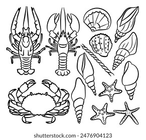 Ocean sea outline animal icon, crabs, seashell, starfishes, crayfish, crawfish