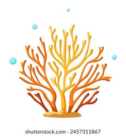 Ocean and sea plant, underwater flora, seaweed, marine life. Aquatic plant, algae, tropical seabed vector element.
