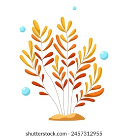 Ocean and sea plant, underwater flora, seaweed, marine life. Aquatic plant, algae, tropical seabed vector element.