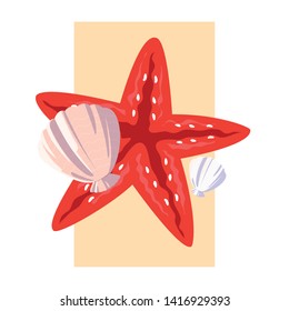ocean sea star and shell design