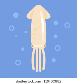 Ocean sea white squid character. Sea life food animals. Vector flat cartoon graphic design isolated illustration