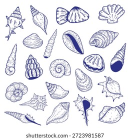 Ocean Seashell Line Ilustrações Arte, Coleção de Shell desenhado à mão