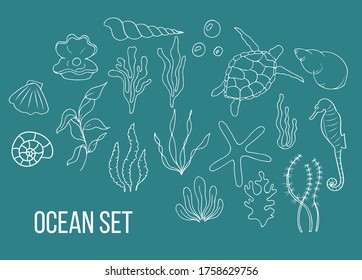 Ocean set, sea creatures elements hand drawn, underwater plants, shells, animals doodle vector