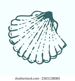 Dibujo de tinta de la mano de la concha oceánica. Diseño de conchas marinas.