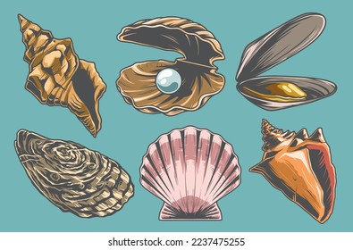 Conchas oceánicas emblemas coloridos conchas marinas de moluscos con perlas o mejillones y ostras de playas tropicales ilustraciones vectoriales