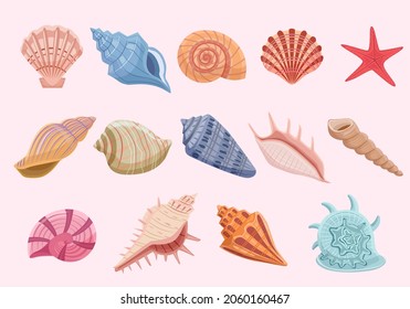 Se colocan conchas oceánicas. Coloridas estrellas de mar y vieiras de espiral con una cuidada decoración de tracería interior y un acuario moderno con brillantes conchas de moluscos de fondo marino. Vector exótico de dibujos animados.