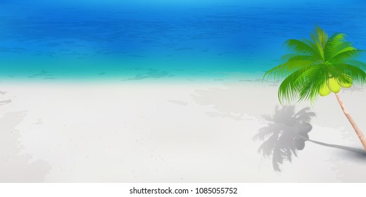 Ocean summer palm tree background