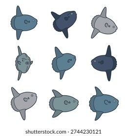 Ocean Sunfish (Mola Fish) Pose Variations Flat Vector Set
