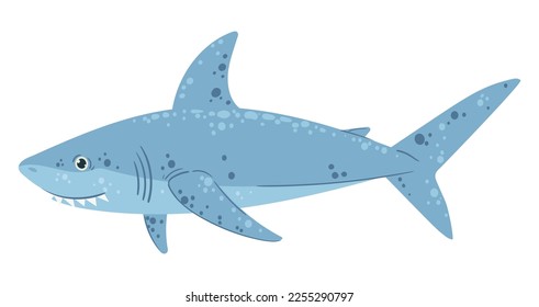 Ocean swimming shark. Cartoon cute shark creature, underwater marine shark predator flat vector illustration on white background