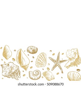 Ocean theme banner background,  Sea Shells Banner Design.place for text