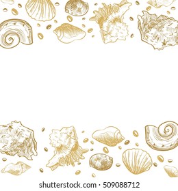 Ocean theme banner background,  Sea Shells Banner Design.place for text