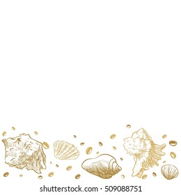 Ocean theme banner background,  Sea Shells Banner Design.place for text