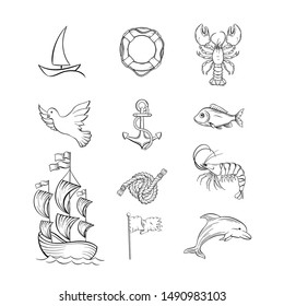 Ocean themed hand drawn illustrations set. Sea fauna and sailing attributes thin line symbols pack. Dolphin, lobster and bird. Marine animals and objects monochrome drawings. Ship, lifebuoy and anchor