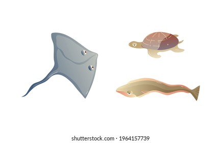 Ocean Underwater Animals with Floating Skate and Turtle Vector Set