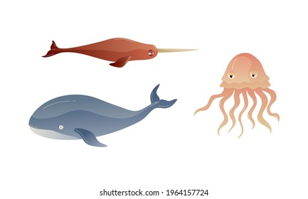 Animales submarinos oceánicos con pez espada flotante y conjunto de vectores de medusas
