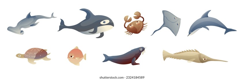 Ocean Underwater Animals with Walrus, Swordfish, Hammerhead, Dolphin, Crab, Turtle and Killer Whale Vector Set