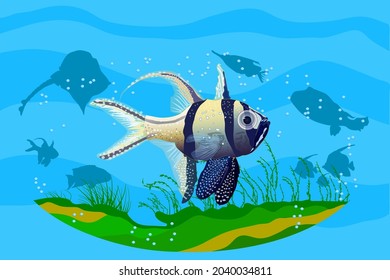 Ocean Underwater Background With Fishes. Aquarium With Exotic Fish. Deep Ocean Sea Life Scene. Save The Oceans Or Sea Conservation.Wildlife Day Poster.Tropical Marine Scenery.Stock Vector Illustration