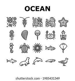 Vector Set de Iconos de Colección de Vida Submarina Oceánica. Pescado Y Estrella Oceánicos, Canteras Y Tortugas, Cangrejo Y Patinaje, Muselas Y Fitoplancton Ilustraciones De Contorno Negro