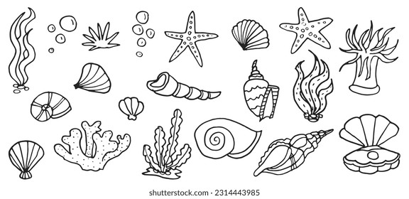 Ocean underwater shell doodle set, tropical  outline sea cartoon icons for vacation textile, isolated on white kit