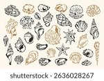 Ocean vector doodle collection. Coastal lifestyle. Italian summer doodles.