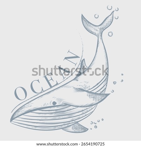 Ocean, vector hand drawn illustration of whale. Sketch engraving style