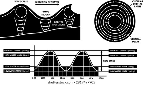 Ocean Wave Mechanics and Tidal Range Infographic Vector Set Showing Wave Crest Orbital Motion Circular Paths and High Low Water Marks Diagram.eps