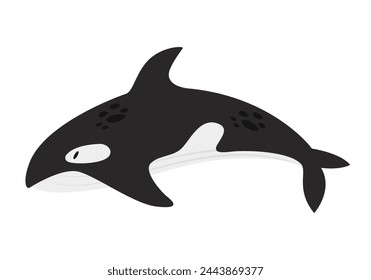 Ocean whale killer. Arctic and antarctic animals, snow sea orca fauna cartoon vector illustration