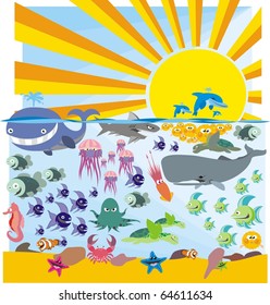 Ocean wildlife colorful vector image collection