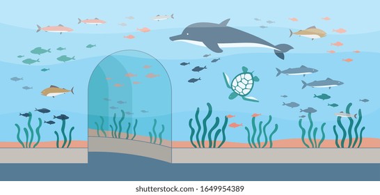 Oceanarium or aquarium interior background with cartoon characters of fishes, underwater dwellers and sea plants, flat vector illustration. Water tank with sea animals.